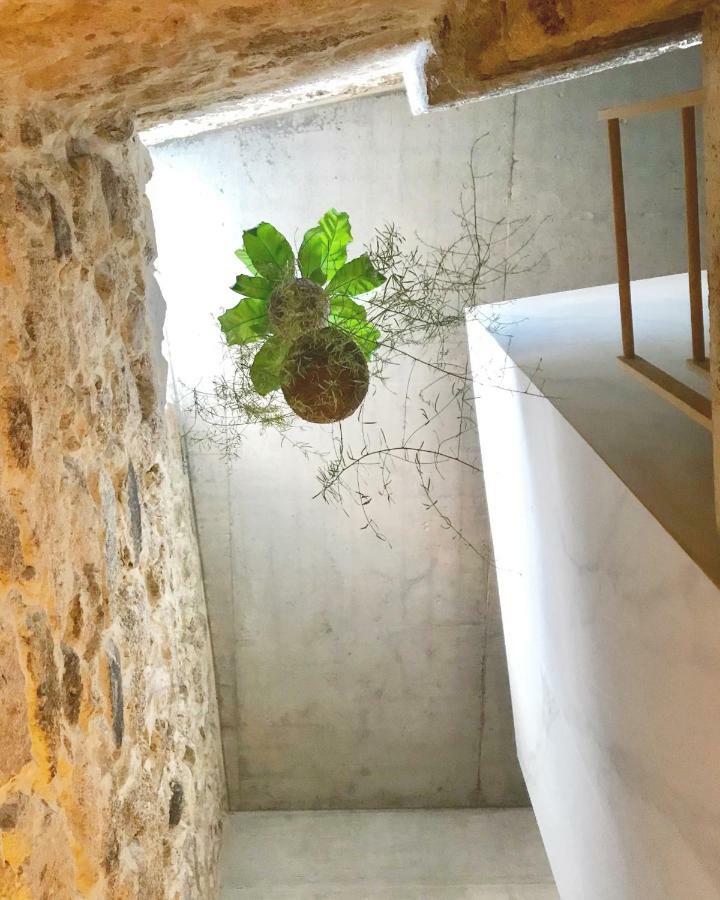 Element Apartman Viseu Kültér fotó